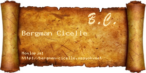 Bergman Cicelle névjegykártya